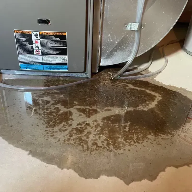 Appliance Leak Cleanup in Algonquin, IL